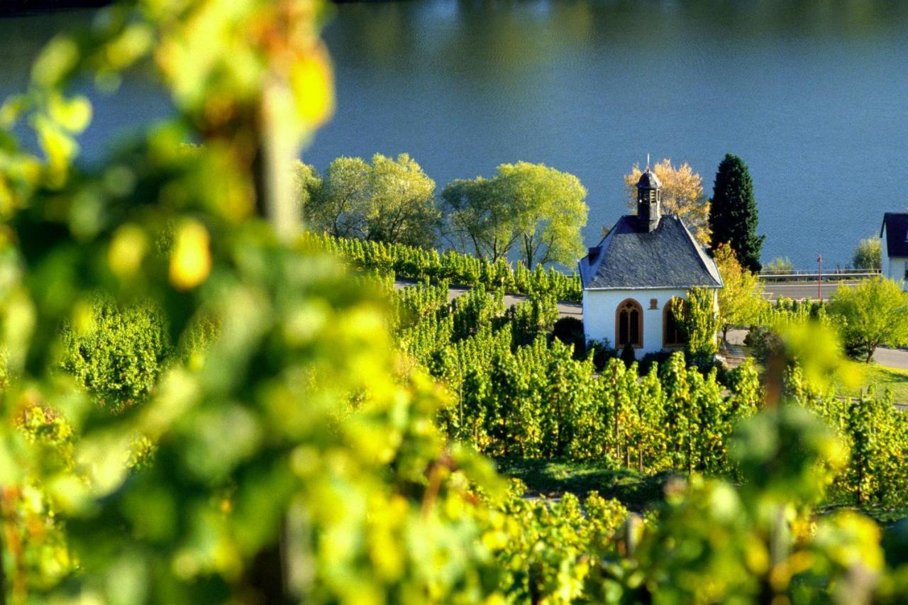 Appartamento Weingut Christoffel Kövenig Esterno foto